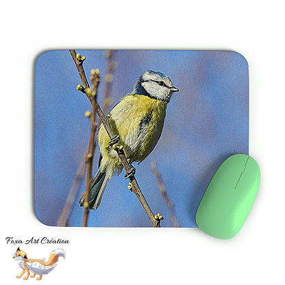 Tapis de souris Mésange Bleue, Cyanistes caeruleus, Oiseaux des Jardins, Photographie nature, Modèle 4, décoration de bureau