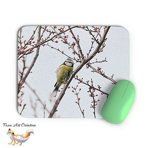 Tapis de souris Mésange Bleue, Cyanistes caeruleus, Oiseaux des Jardins, Photographie nature, Modèle 6, décoration de bureau
