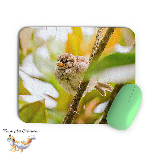 Tapis de souris Moineau Domestique, Passer domesticus, Oiseaux des Jardins, Photographie nature, Modèle 2, décoration de bureau