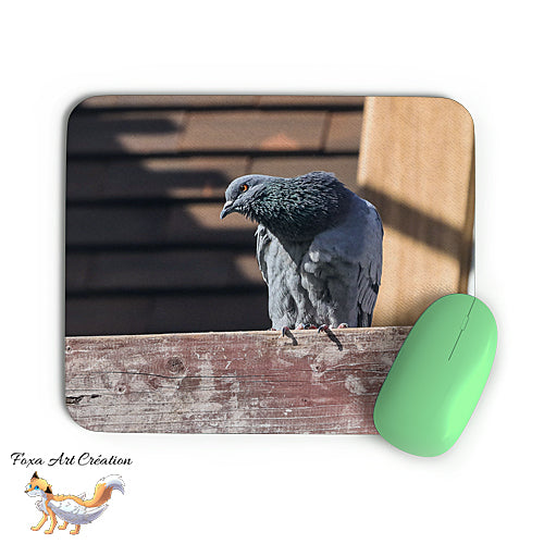 Tapis de souris Pigeon Biset Urbain, Colombe, Oiseaux, Photographie nature, décoration de bureau