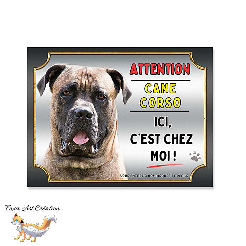 Plaque Attention au chien Cane Corso fauve ici c'est chez moi