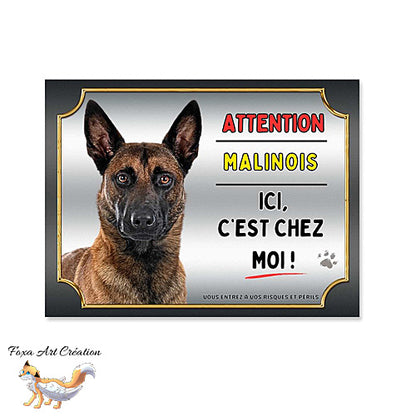 Plaque Attention au chien race Berger Belge Malinois ici c'est chez moi