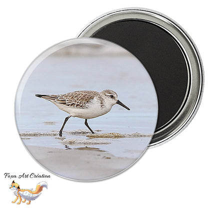 Badge, Magnet pins Bécasseau Sanderling, oiseau de plage limicole, Calidris alba, modèle 1