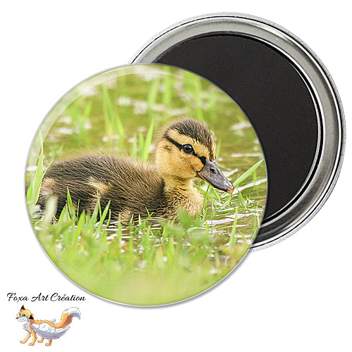 Badge, Magnet pins Canard Colvert, caneton mignon, modèle 3