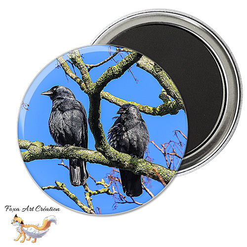 Badge, Magnet pins Choucas des Tours, oiseau corvidé, Coloeus monedula, Jackdaw, modèle 2