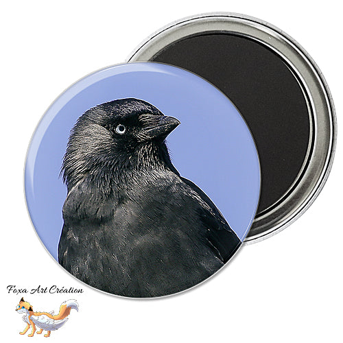 Badge, Magnet pins Choucas des Tours, oiseau corvidé, Coloeus monedula, Jackdaw, modèle 1