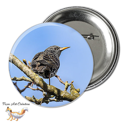 Badge, Magnet pins Etourneau sansonnet, oiseau de jardin, Sturnus vulgaris, modèle 1