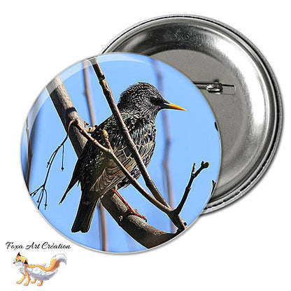 Badge, Magnet pins Etourneau sansonnet, oiseau de jardin, Sturnus vulgaris, modèle 2