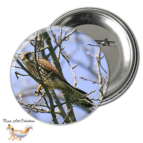 Badge, Magnet pins Faucon Crécerelle, Oiseau Rapace, Falco tinnunculus, modèle 2