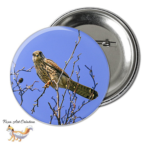 Badge, Magnet pins Faucon Crécerelle, Oiseau Rapace, Falco tinnunculus, modèle 3