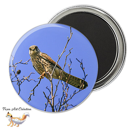 Badge, Magnet pins Faucon Crécerelle, Oiseau Rapace, Falco tinnunculus, modèle 3