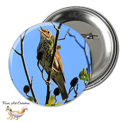 Badge, Magnet pins Grive Musicienne, Oiseau de Jardin, Turdus philomelos, modèle 1