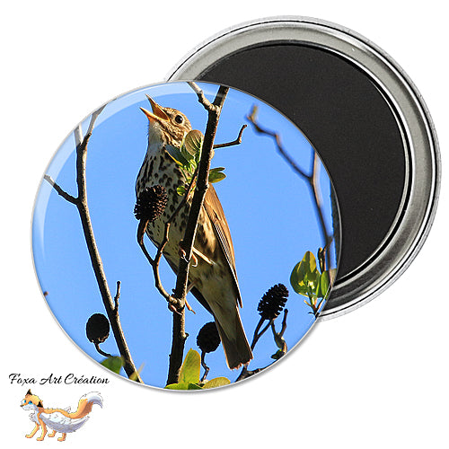 Badge, Magnet pins Grive Musicienne, Oiseau de Jardin, Turdus philomelos, modèle 1