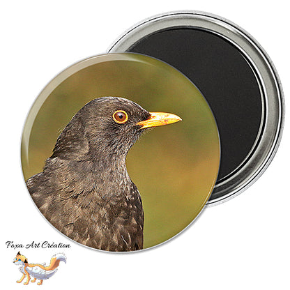 Badge, Magnet pins Merle Noir, oiseau de jardin, Turdus merula, modèle 1