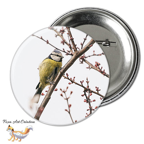 Badge, Magnet pins Mésange Bleue, oiseau de jardin, Cyanistes caeruleus, modèle 1