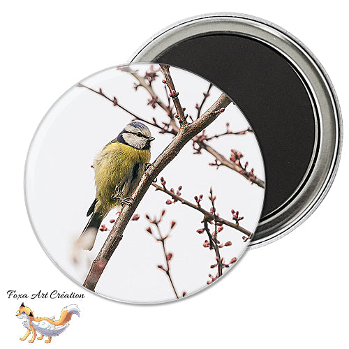 Badge, Magnet pins Mésange Bleue, oiseau de jardin, Cyanistes caeruleus, modèle 1