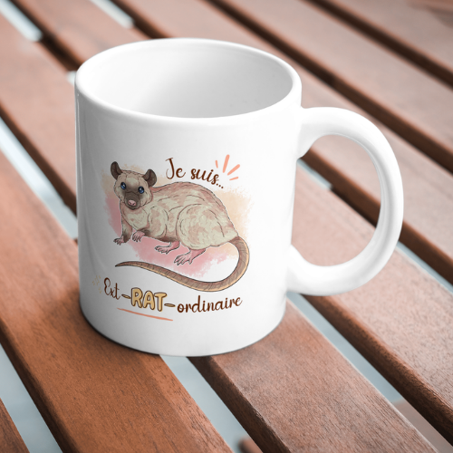 Mug personnalisé rat domestique avec la phrase "Je suis ext-RAT-ordinaire" illustré par Foxa Art Création. Choisissez parmi 9 couleurs de pelage. Fait main en France.