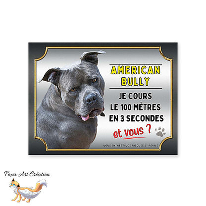 Plaque attention au chien race American Bully gris cours le 100 mètres en 3 secondes et vous