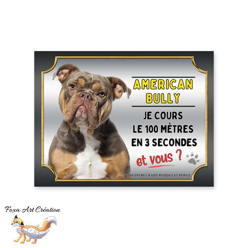 Plaque American Bully cours le 100 mètres en 3 secondes et vous attention au chien