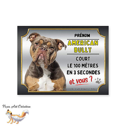 Plaque American Bully cours le 100 mètres en 3 secondes et vous attention au chien