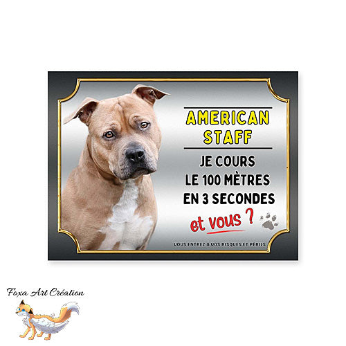 Plaque de portail American Staff fauve cours le 100 mètres en 3 secondes et vous