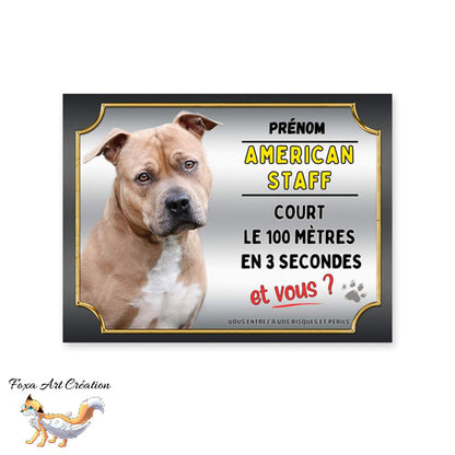 Plaque de portail American Staff fauve cours le 100 mètres en 3 secondes et vous
