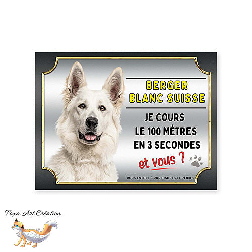 Plaque de portail Berger Blanc Suisse cours le 100 mètres en 3 secondes et vous