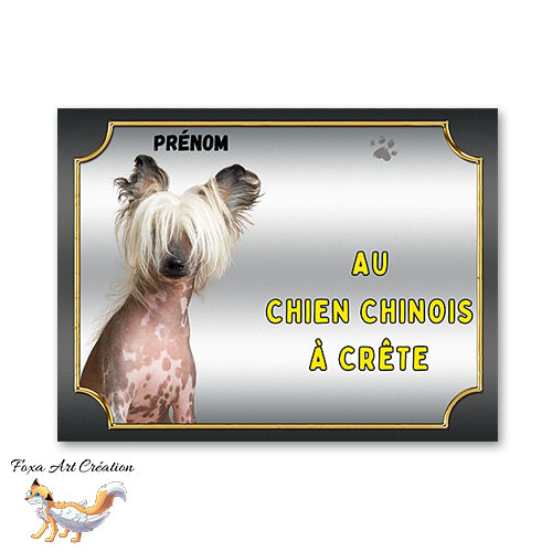 Plaque Chien Chinois à crête Attention au chien Panneau pancarte