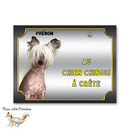 Plaque Chien Chinois à crête Attention au chien Panneau pancarte