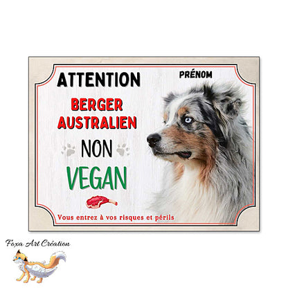 Plaque humour Attention au Chien Berger Australien merle bleu je ne suis pas vegan