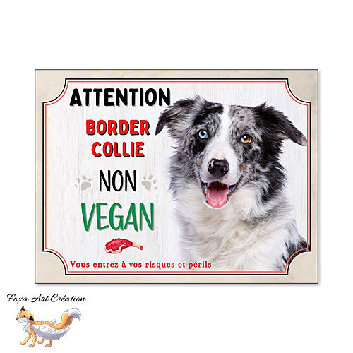 Plaque humour Attention au Chien Border Collie merle bleu je ne suis pas vegan