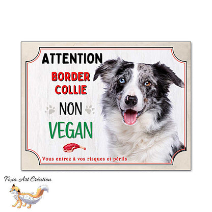 Plaque humour Attention au Chien Border Collie merle bleu je ne suis pas vegan