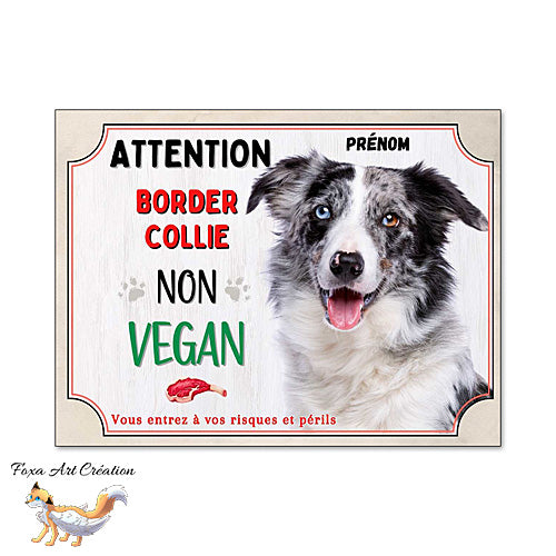 Plaque humour Attention au Chien Border Collie merle bleu je ne suis pas vegan