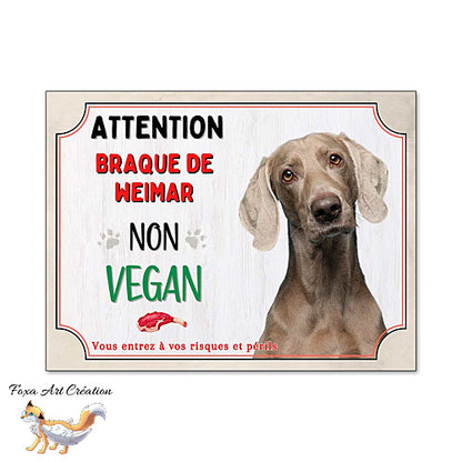 Plaque de portail humour Attention Chien Braque de Weimar je ne suis pas vegan