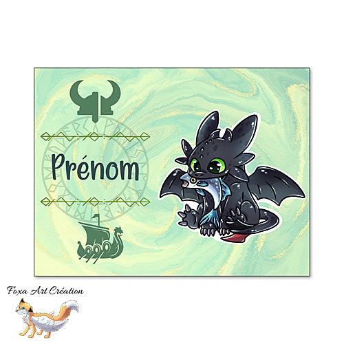 Plaque de Chambre Dragon noir Krokmou, Furie nocturne, Vert, Panneau de porte décoratif personnalisé