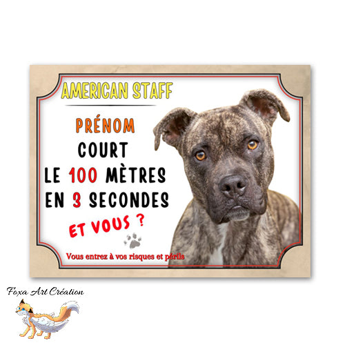 plaque attention au chien american staff amstaff je monte la garde court le 100m 