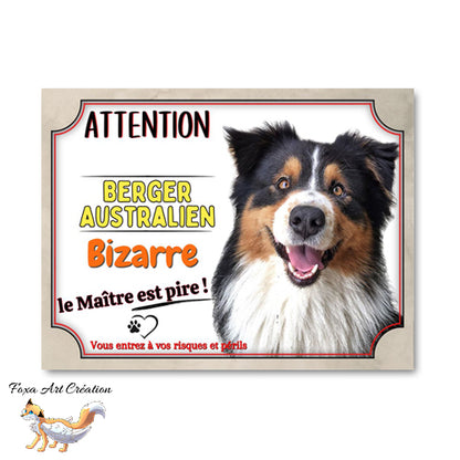 plaque attention au chien berger australien bizarre le maitre est pire 