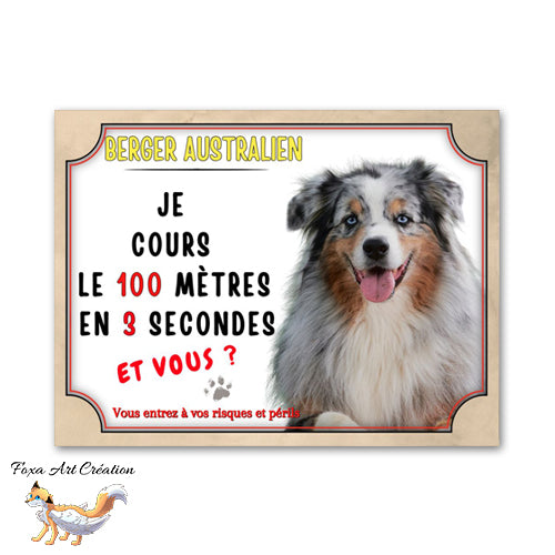 plaque attention au chien berger australien cours le 100 mètre en 3 secondes 