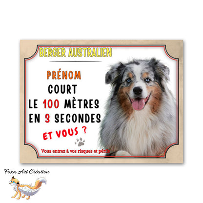 plaque attention au chien berger australien cours le 100 mètre en 3 secondes 