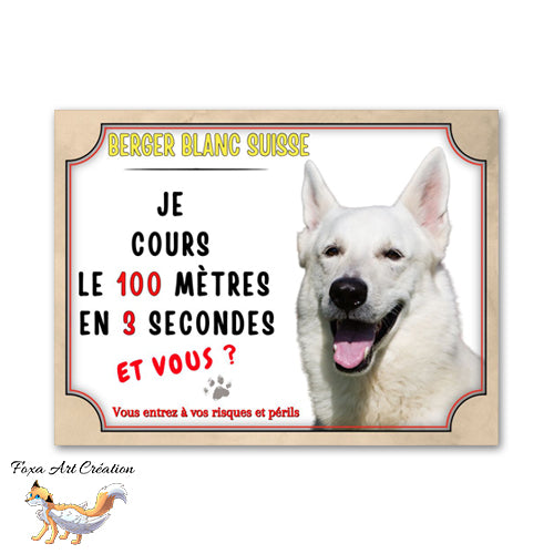 plaque attention au chien berger blanc suisse cours le 100 mètre en 3 secondes  