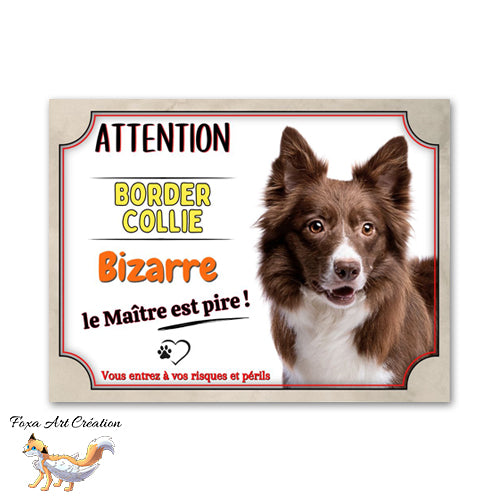 plaque attention au chien border collie bizarre