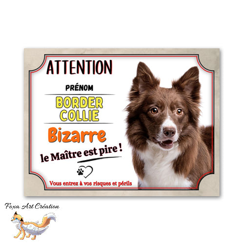 plaque attention au chien border collie bizarre