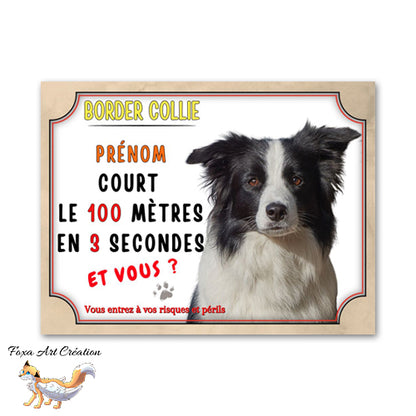 plaque attention au chien border collie cours le 100 metre en 3 seconde