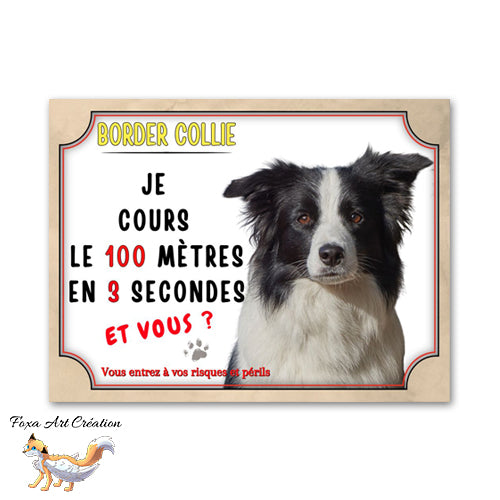 plaque attention au chien border collie cours le 100 metre en 3 seconde