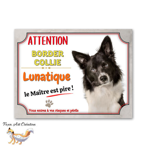 plaque attention au chien border collie lunatique 