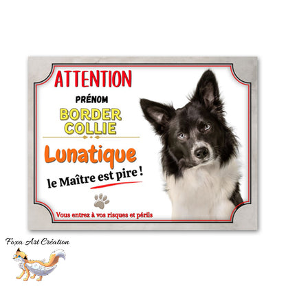plaque attention au chien border collie lunatique 