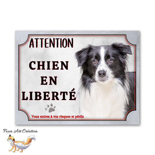 plaque attention au chien en liberté border collie 