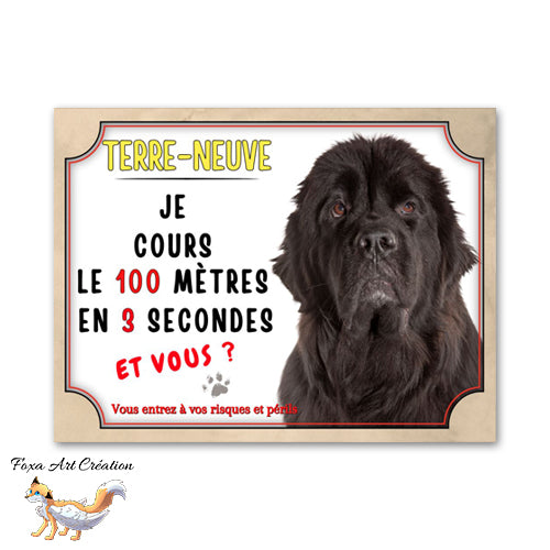 Plaque de portail Terre-Neuve court le 100 mètre en 3 secondes Panneau Attention au chien 