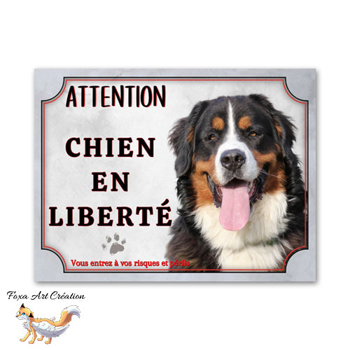 Plaque de portail Attention au chien Bouvier bernois en liberté
