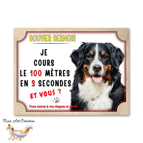 Plaque de portail humour Attention au chien Bouvier bernois je cours le 100 mètres en 3 secondes et vous ? 